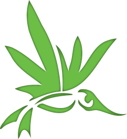 Altitude Organic Cannabis and Medicine
