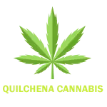 Quilchena Cannabis