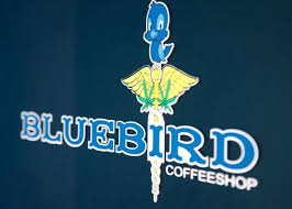 Bluebird
