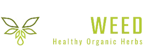 Biosweed Cannabis Shop Frankfurt (CBD Shop)