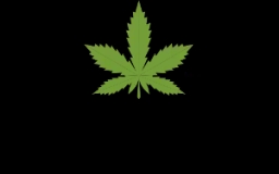 CANNABIS TWINS Dispensary and Lounge – Phloen Chit