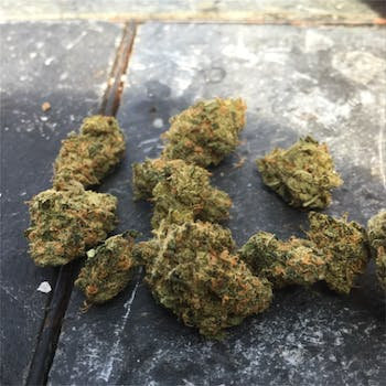 DC Cannabis Buds