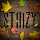 STIIIZY Ferndale