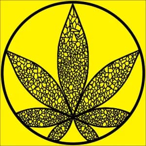 Gas Gas Medical Bangor