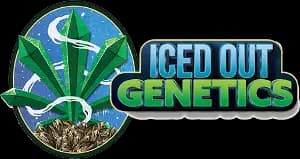Iced Out Genetics - Cannabis Dispensary Battle Creek