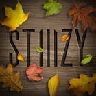 STIIIZY Ferndale
