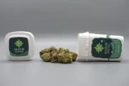 HARBOR FARMZ | ALIEN PEBBLES | BULK FLOWER
