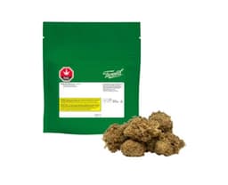 Cherry Acai Mints Flower - Hybrid