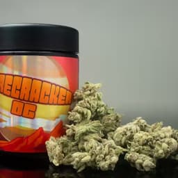 Seven G - Firecracker OG - 7g