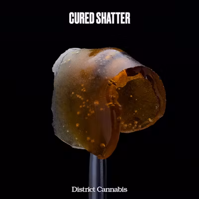 Beach Cake Cured Shatter 1g