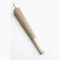 Green Apple [1g] | 3 pack | preroll