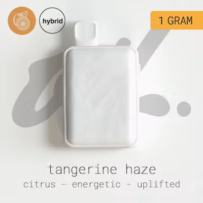 Oil All-In-One (1g) - Tangerine Haze | Disposable