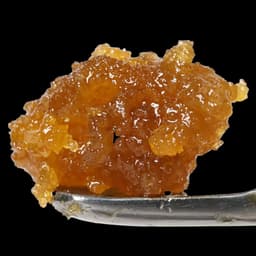 RARE DANKNESS | APRICOT SCONE | SHATTER | [1G] | HYBRID