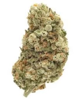 Sour Jack (3.5 grams)