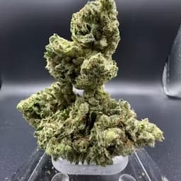 Banana Punch