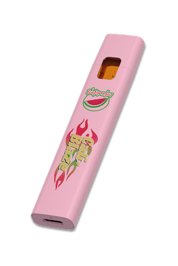 Watermelon Disposable Vape | 1g