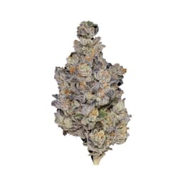 Blu Froot Prepacked Flower