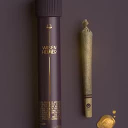 Wisenheimer 2 Pack ROSIN Cones - Granny’s Apple Sass X Strawberry Nightmare