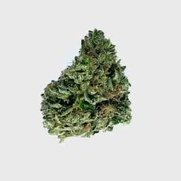 Fruity Pebblez OG (Green Ribbon X Granddaddy Purple X Tahoe Alien)