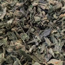 White Hot Guava - (50/50 Hybrid) *SHAKE*
