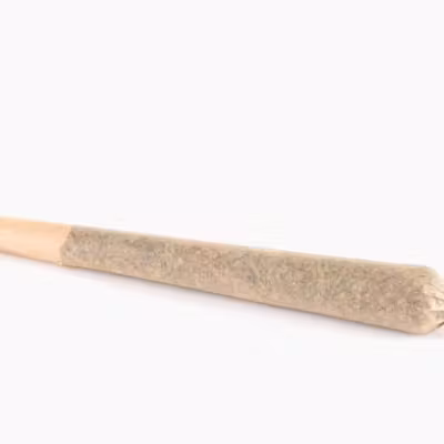 Bonsai | Creativity Joint Single | 1g