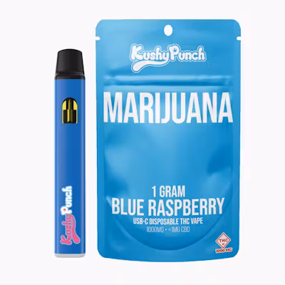 Blue Raspberry | Disposable