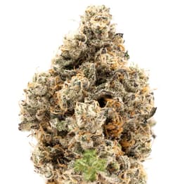Cake Crasher (H) (3.5g)