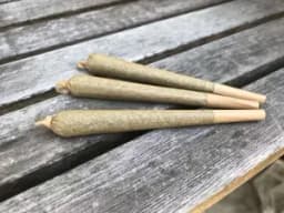Next 1 Lava Cake Joint 1g