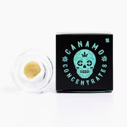 Canamo Concentrates Kush Mints Live Hash Rosin