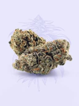 Cheetah Piss - Flower (3.5g)