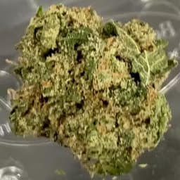 Crayzie Glue (bb) -1g