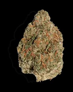 Jenny Kush 1oz