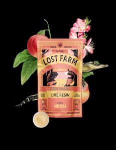 Juicy Peach x Mimosa 10 Pack Gummies | Lost Farm | Edible