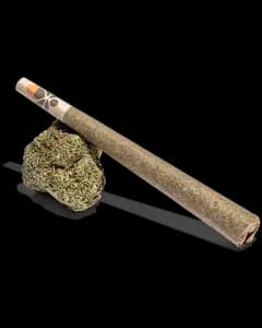 Jenny Kush Preroll 1g
