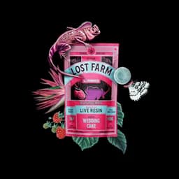 Raspberry x Wedding Cake 10 Pack Gummies | Lost Farm | Edible