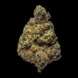 1889 Farms - Dante's Inferno - 3.5g - Flower