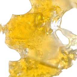 Orange Cookie Chem | Shatter