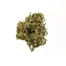 Chemodo Dragon SHAKE OUNCE | FLOWER
