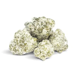 Runtz OG Frosted Bud | Infused Bud