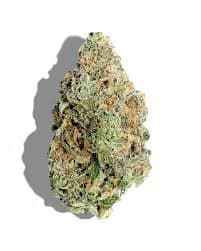 Msg 3.5g