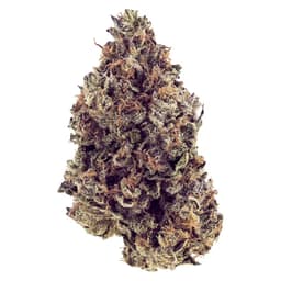 Fox St | Purple Pop | 3.5g