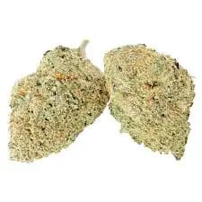 Mood Ring - Sommelier Select Indica 3.5g Dried Flower