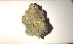 Natty Daddy OG | Flower