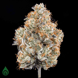 Lemon Grinder