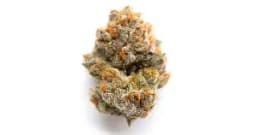 Vanilla Icing Kush 1oz Vanilla Icing Kush 1oz