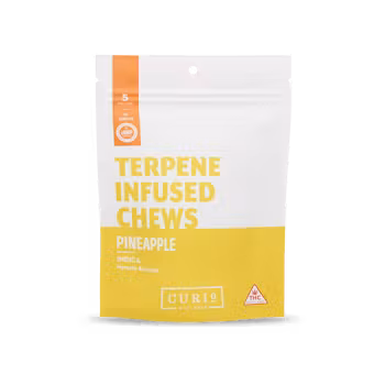 Terpene Infused Pineapple Gummies 10pk