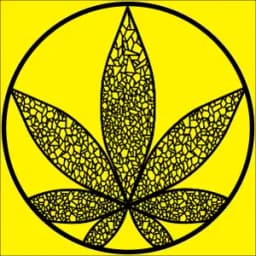 Gas Gas Medical Bangor