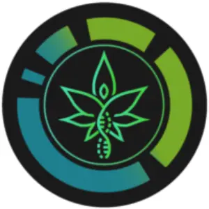 Hempmade – Cannabis Store & Chillin Hub