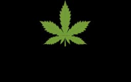 CANNABIS TWINS Dispensary and Lounge – Phloen Chit