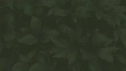 Earth & Ivy